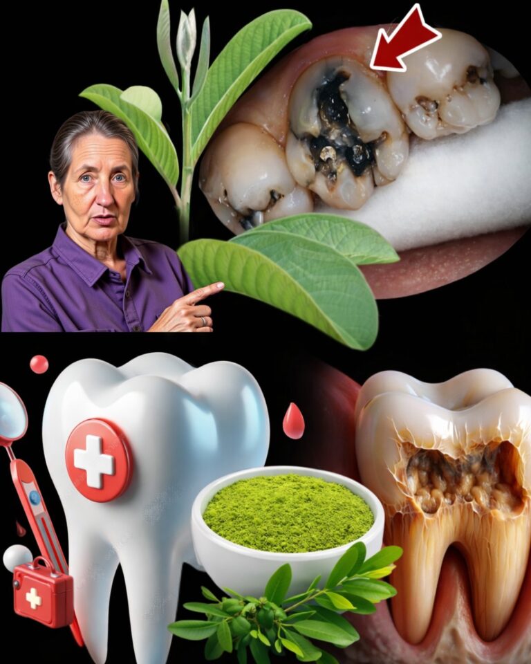 Top 3 Natural Ways Guava Leaves Can Support Tooth Decay Relief at Home