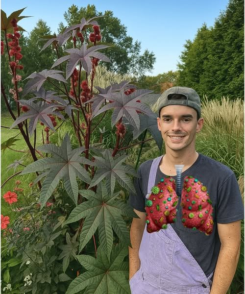 Unlocking the Healing Power of Castor Leaves: Everything You Need to Know